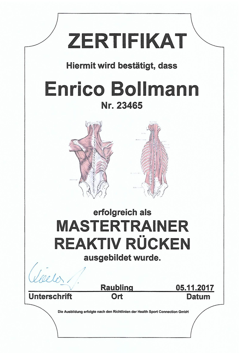 Mastertrainer Reaktiv Rücken